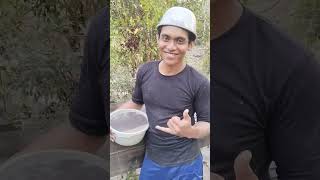 Tambang timah Belitung