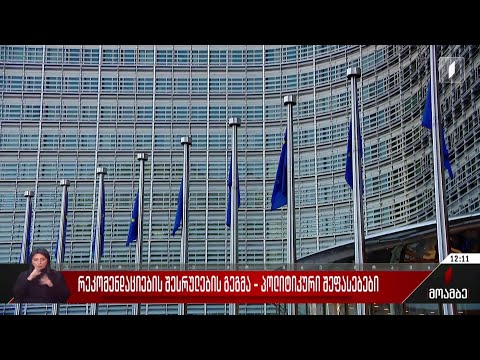 რეკომენდაციების შესრულების გეგმა - პოლიტიკური შეფასებები