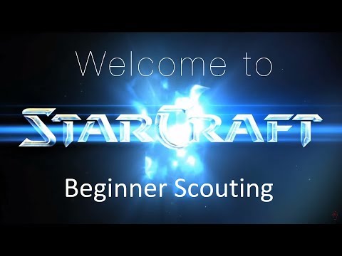 Beginner Scouting  - Welcome to Starcraft