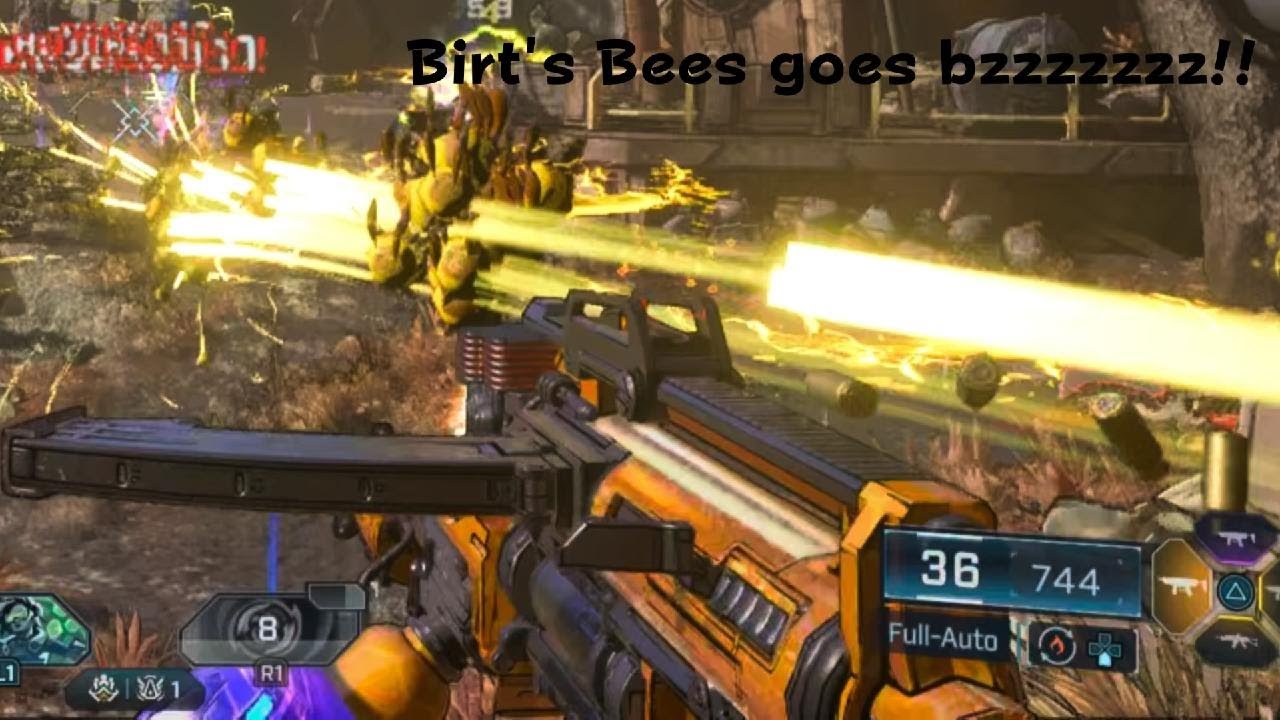 Fun with Harlowe and Birt's Bees