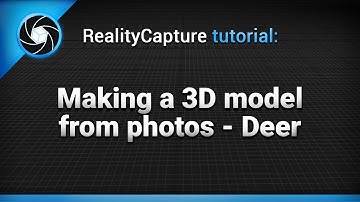 RealityCapture: Making a 3D model from photos  - Deer