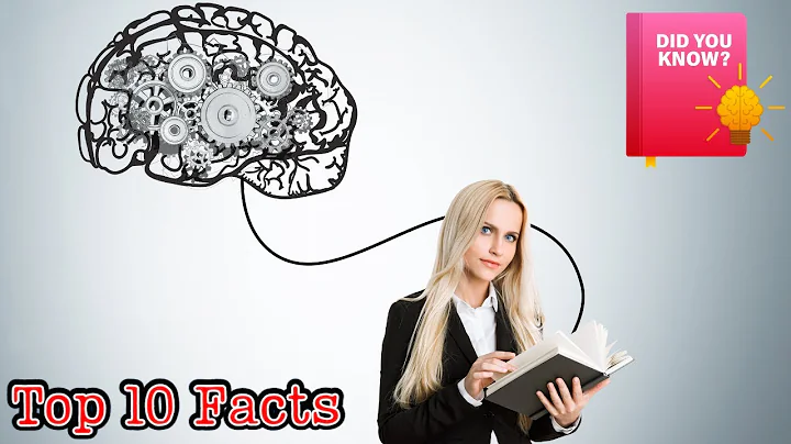10 Mind-Blowing Facts About the Human Brain You Need to Know | Human Brain | Brain Facts |Fact Files