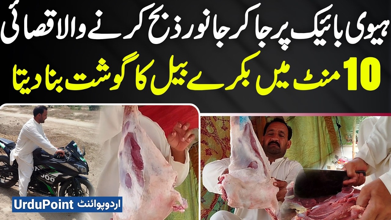 Butcher Who Slaughters Animals While Riding A Heavy Bike - Prepares ...