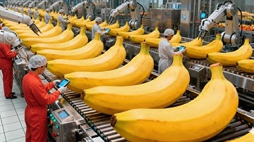 Inside the banana chips factory full process revealed
