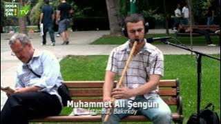 DOĞA İÇİN ÇAL 1 - DİVANE AŞIK GİBİ