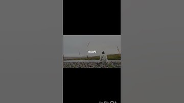 ﴿وضاقت عليكم الأرض بما رحبت﴾ تلاوة قصيرة مؤثرة تهز القلب وتشرح الصدر 🌿✨ #اكسبلور #لايك #quran#تلاوة