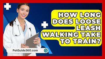 How Long Does Loose Leash Walking Take To Train? - PetGuide360.com