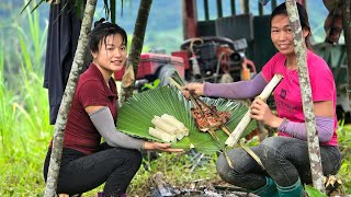 Logging on rainy days,sheltering from the rain,cooking sticky rice in bamboo tubes and grilling meat