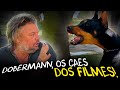 DOBERMANN, O CACHORRO MAIS ASSUSTADOR!