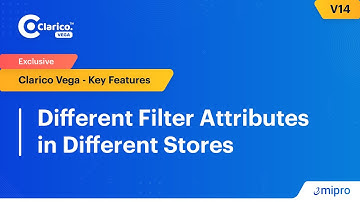 Different Filter Attributes in Different Stores | Clarico Vega v14
