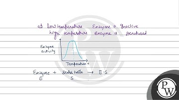 Given below are two statements: Statement I: Low temperature preserves the enzyme in a temporari....