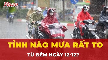 Những tỉnh nào có mưa to đến rất to từ đêm ngày 12-12? | Tin nhanh