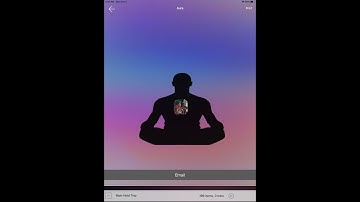Kerry Keegan Quantum Biofeedback with the Genius Insight Health App