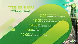 Htvc Thuần Việt Gtct Từ 12H00 Đến 17H00 Ngày 18102025