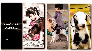 Bakra Eid Mubarak 🐐 Eid Ul Azha Status| Qurbani Status| Eid Ul Azha 2022 Full Screen WhatsAp Status