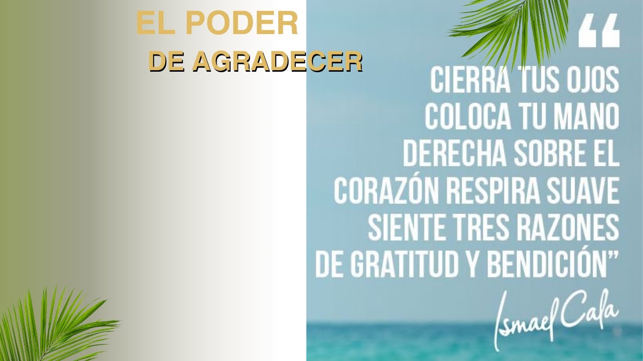 EL PODER DE LA GRATITUD - YouTube
