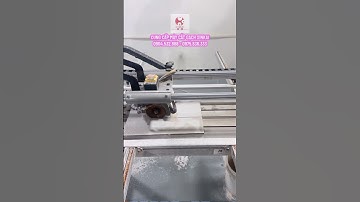 Máy cắt gạch bàn nước Xinkai z2s cắt góc đơn giản công suất 2800w máy nhẹ mang công trình