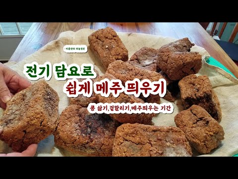 간편하게 전기 담요로 메주 띄우기