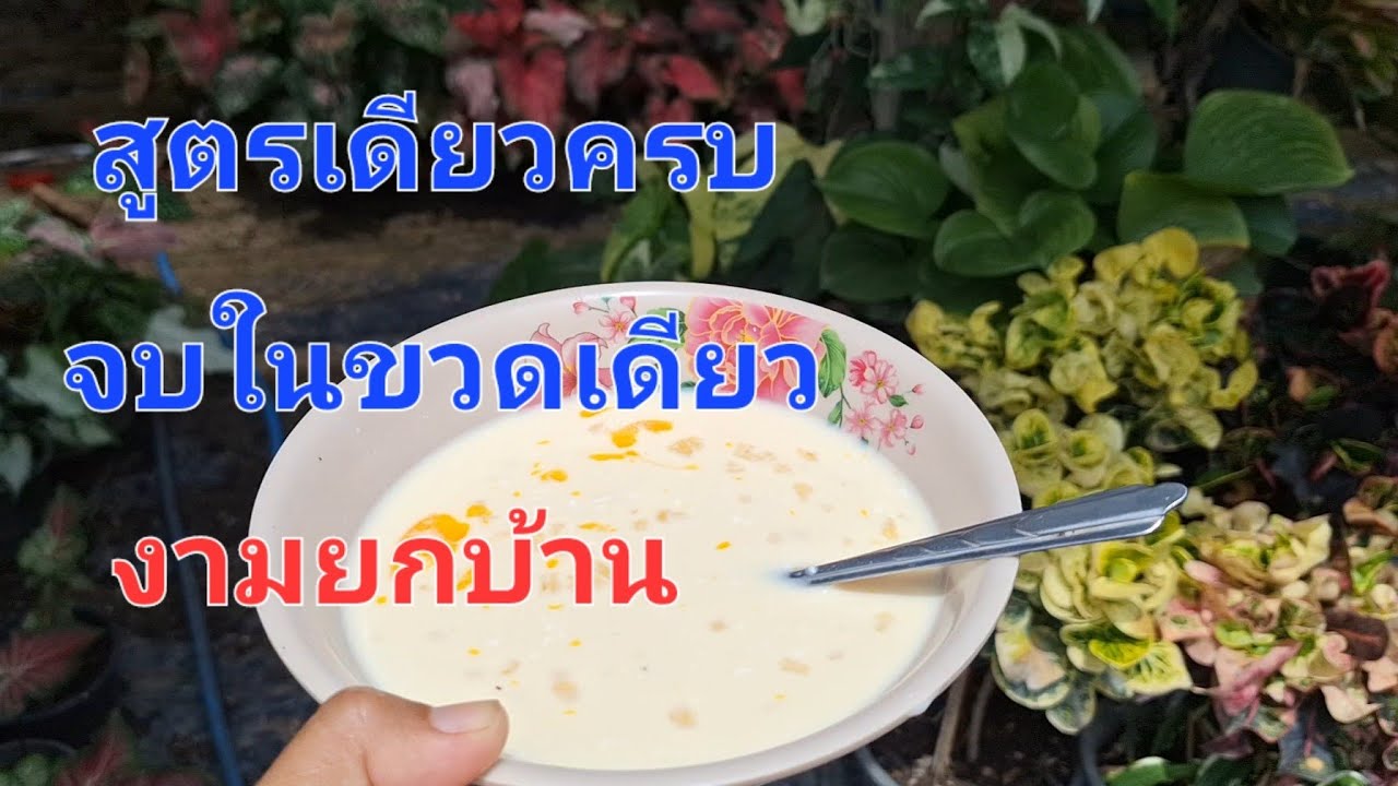 ขวดเดียวดีเกินคุ้ม! ฮอร์โมนสูตรรวมพลังครบจบที่เดียว พืชผักไม้ดอกไม้ประดับงามยกบ้าน กินไม่ทัน