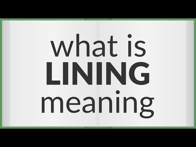 Lining  meaning of Lining 