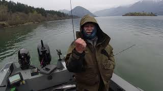 Fishing the Wind for Spring Chinook