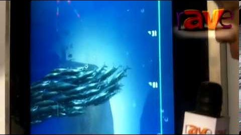 DSE 2013: Intel Showcases its Clear Channel Bus Shelter