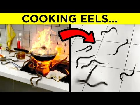 People Doing Stupid Things - Part 3