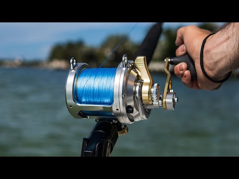 Best Saltwater Reel Combo!! 