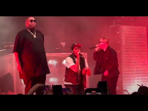 Rage Against The Machine's Zack de la Rocha joined Run The Jewels live - video posted