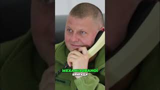 #залужний біографія