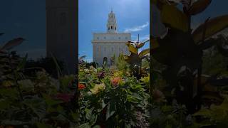 Covenant In The Lords House