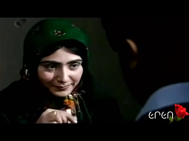 Yalda Abbasi - Le Yare