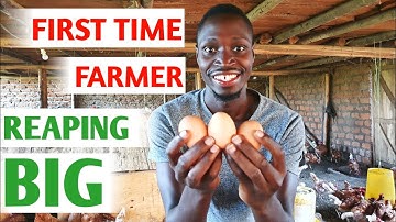 How I Started a Poultry Farm With Little Money and No Experience | My Success Story