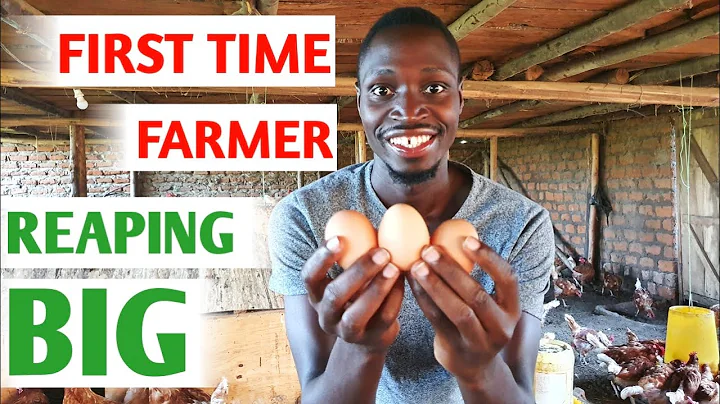 How I Started a Poultry Farm With Little Money and No Experience | My Success Story - DayDayNews