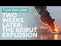 The Beirut Explosion, Two Weeks Later: Lebanese Government Collapse & Economic Issues - TLDR News