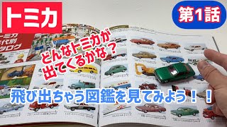 トミカ『飛び出ちゃう図鑑を見てみよう❗️第1話』tomica   ミニカー　日本製