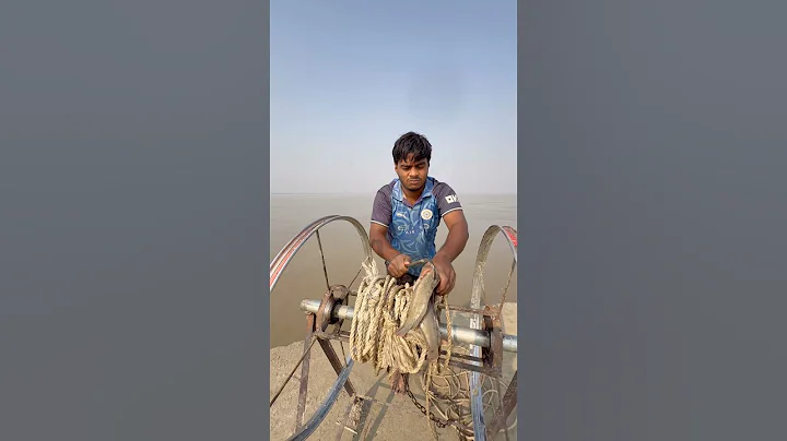 Shark hunting update method  #fishinglife  #hook  #bait