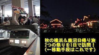 【185系 特急鹿沼秋まつり旅行記】1日で2つの祭りを訪問しました