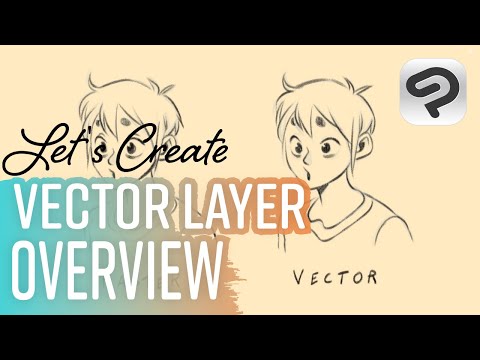 Vector layer overview