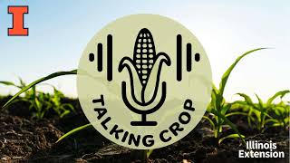 Refining corn nitrogen recommendations