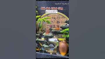 bố trí tiểu cảnh sân vườn 6