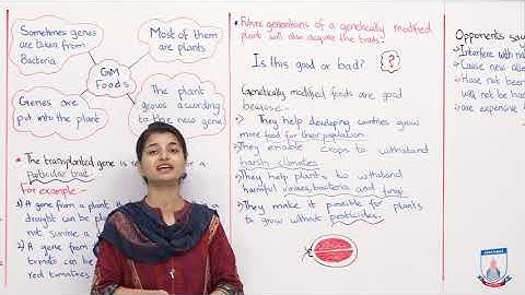 Class 5 - Science - Unit 06 - Lecture 2 Food and Diet Topic 6.2 - Allied Schools