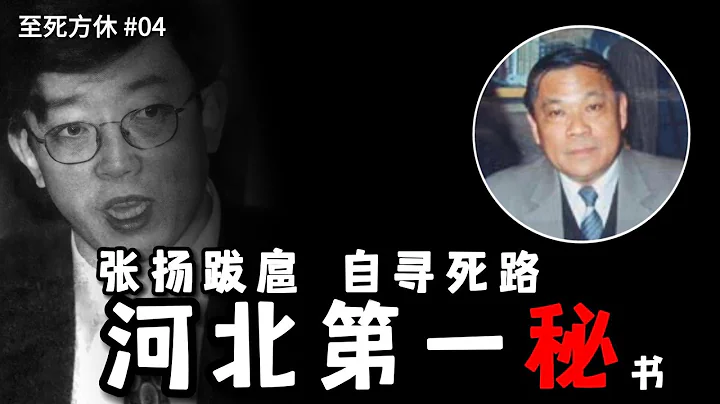 他是河北第一秘 那一年最年轻的厅官  李真   尝遍人世间所有的背叛 ( 至死方休 04 ) - 天天要闻