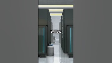 Will Bitcoin Work?? Google