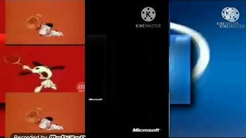 400 shuric scans with are slides