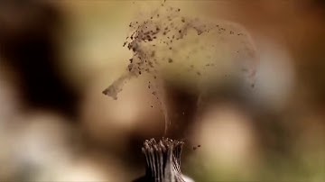 تلاوة رائعة تاخذك الى عالم اخر للشيخ(المنشاوى) -رحمه الله-