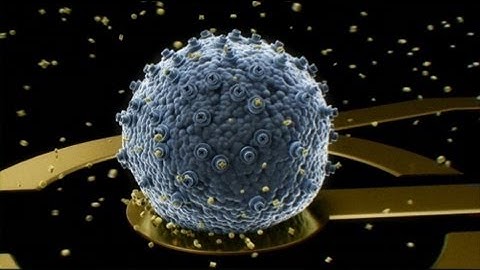 euronews hi-tech - The lifesaving device that can smell cancer