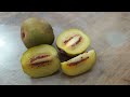 Red kiwi slices 🥝 / Дольки красного киви 🥝 #kiwi #friuts #fruit #fruits