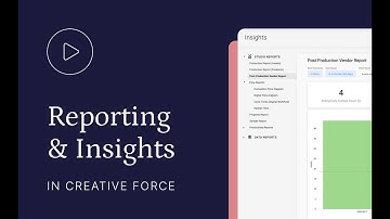 Reporting & Insights.mp4