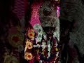 Kali SARA .. MAA Khoma KARO # MAA Asirbud karo #Roksha kord